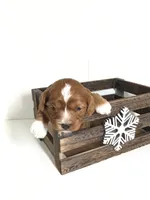 processed/f6f96d6b-ada9-41fa-93a1-42312692848e/listing/ca0dd0e0-b8ce-4117-bd8b-c0167880fcff/ee5d61d4-fe43-4393-afcf-d8623f2ffbc7