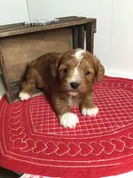 processed/f6f96d6b-ada9-41fa-93a1-42312692848e/listing/ca0dd0e0-b8ce-4117-bd8b-c0167880fcff/ee6c77e4-c9e3-48fe-a722-7b6aebd7467c