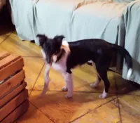 processed/f70851a3-7078-41af-85ea-58969e7f48e1/listing/93190d8c-5867-434c-b4e8-f0b87672a611/00754113-94f7-407f-977d-5e44d565e6b5