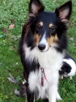 processed/f70851a3-7078-41af-85ea-58969e7f48e1/listing/93190d8c-5867-434c-b4e8-f0b87672a611/535e0098-7b03-40a8-ba82-650ad5fa682a