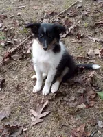 processed/f70851a3-7078-41af-85ea-58969e7f48e1/listing/93190d8c-5867-434c-b4e8-f0b87672a611/6d337949-dddd-47c4-8726-dd4a810778bc