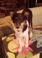 processed/f70851a3-7078-41af-85ea-58969e7f48e1/listing/93190d8c-5867-434c-b4e8-f0b87672a611/78ee270e-d0f7-47ea-8db6-0f52795ac9d3