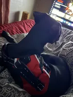 dre, a male Doberman Pinscher for sale in Hampton, IA – Photo 2 of 4