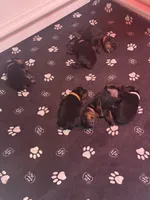 processed/f70fae0c-0005-406d-bf5a-3787c4455898/facility/52c3a085-6ee4-4e9e-8f50-e86b514236c8