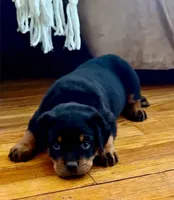 processed/f70fae0c-0005-406d-bf5a-3787c4455898/facility/540c61fc-2c36-4ce4-81d1-e124d318935e