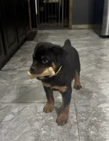 processed/f70fae0c-0005-406d-bf5a-3787c4455898/listing/effdb83c-9713-42aa-b957-53a763109ab5/48027fe1-f2c7-4918-9fe2-d3da0002255e