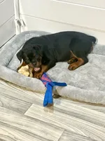 processed/f70fae0c-0005-406d-bf5a-3787c4455898/listing/effdb83c-9713-42aa-b957-53a763109ab5/c54c38eb-cb85-4668-be01-f8232966b29e