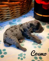 processed/f716ccf3-8205-49f0-8ba3-0bd1f15f00c4/listing/ae04a549-5bc0-4b8a-9cca-73baadf8b1b0/cc49cf43-503d-4f7f-87b9-a529f1e90bb6