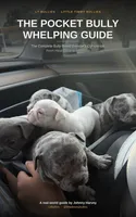 You pick, a male American Bully for sale in Conyers, GA – 5 of 6