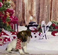 processed/f731b721-ee41-4168-a3b4-e4e9fc9576e8/listing/09c0dabc-e0d8-4ab8-b1af-fd3cdff7500b/2b4cbb0b-0858-452c-bfe4-940f2b19db25