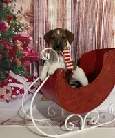 processed/f731b721-ee41-4168-a3b4-e4e9fc9576e8/listing/09c0dabc-e0d8-4ab8-b1af-fd3cdff7500b/c07dee93-8c80-4a79-b417-249c7a89da00