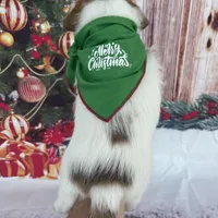 Elite Bred, AKC Champion Sired, a male Jack Russell Terrier for sale in Mount Gilead, NC – Photo 6 of 10