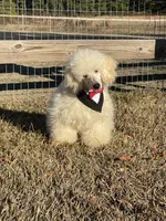 processed/f731b721-ee41-4168-a3b4-e4e9fc9576e8/listing/945ab4d4-4a2f-4fc8-a8d5-e7e96e414bb2/86cc1fcb-8b13-4a8e-9a77-5bf6e3da072e