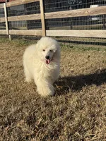 processed/f731b721-ee41-4168-a3b4-e4e9fc9576e8/listing/945ab4d4-4a2f-4fc8-a8d5-e7e96e414bb2/9e30684c-2de0-43f4-8842-94fcb3287438