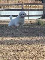 processed/f731b721-ee41-4168-a3b4-e4e9fc9576e8/listing/945ab4d4-4a2f-4fc8-a8d5-e7e96e414bb2/e22d00df-1691-4188-a95a-205a38db35e4