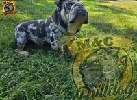 processed/f74029f1-c2c7-4823-860d-acd7c4398642/facility/cac1706c-ef65-4666-996f-050fae2cee9a