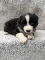 processed/f740ecb1-568c-4a23-8af2-8bd0ddc03c35/listing/067c1d26-df4b-406a-a316-676f7fbb3ef7/4fb19ac1-8a89-4e1b-b26a-2525e1c22f2c