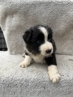 processed/f740ecb1-568c-4a23-8af2-8bd0ddc03c35/listing/067c1d26-df4b-406a-a316-676f7fbb3ef7/e8290096-fa1e-42bd-80af-c044fe61b5c8