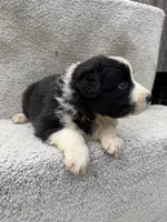 processed/f740ecb1-568c-4a23-8af2-8bd0ddc03c35/listing/067c1d26-df4b-406a-a316-676f7fbb3ef7/ec04651a-35a7-4167-9d86-78bbdf418754