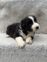 processed/f740ecb1-568c-4a23-8af2-8bd0ddc03c35/listing/067c1d26-df4b-406a-a316-676f7fbb3ef7/ecffbe93-b4f1-4534-af29-2a03596b3412