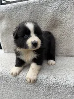 processed/f740ecb1-568c-4a23-8af2-8bd0ddc03c35/listing/878c826b-3a48-4a08-a61d-bbf058e5ada5/95786a2c-f018-46c7-8dd3-94132a926654