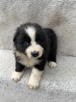 processed/f740ecb1-568c-4a23-8af2-8bd0ddc03c35/listing/878c826b-3a48-4a08-a61d-bbf058e5ada5/e81d9f6c-559e-488a-aeb6-40e00482fab5