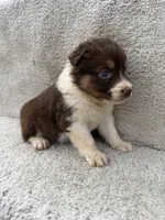 processed/f740ecb1-568c-4a23-8af2-8bd0ddc03c35/listing/ca5523a2-6182-4cdb-900b-a96a25917967/a403fc34-0e86-4ccf-a138-dd103c2e656f