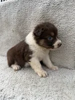 processed/f740ecb1-568c-4a23-8af2-8bd0ddc03c35/listing/ca5523a2-6182-4cdb-900b-a96a25917967/c46e9ca2-7277-41af-a64d-0c376972e898