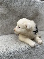 processed/f740ecb1-568c-4a23-8af2-8bd0ddc03c35/listing/e6283913-7062-4859-abbe-6c5caddb945d/7e727509-7e7a-406f-b0f2-54fbe922471f