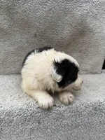 processed/f740ecb1-568c-4a23-8af2-8bd0ddc03c35/listing/e6283913-7062-4859-abbe-6c5caddb945d/e1ef4c7d-93e8-4bb2-85ad-e684b74b9300