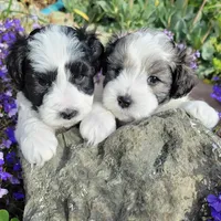 processed/f7426b35-2bfc-4f80-bfb1-af57707723f3/facility/00020761-289d-4e5d-9682-f46972624a72