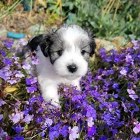 processed/f7426b35-2bfc-4f80-bfb1-af57707723f3/facility/22f722d3-efc1-475d-a538-12289a69abfe