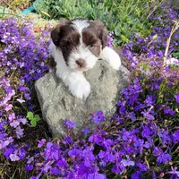 processed/f7426b35-2bfc-4f80-bfb1-af57707723f3/facility/ee5f0b57-e31e-42df-a763-1d129bc28c68