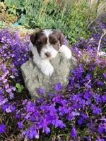 processed/f7426b35-2bfc-4f80-bfb1-af57707723f3/facility/ee5f0b57-e31e-42df-a763-1d129bc28c68