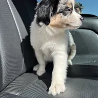 processed/f747d14b-a878-46fe-9ce7-210efab35373/facility/1d0fd403-f0f9-4f52-aeb9-bf26d764247b