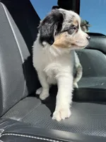 processed/f747d14b-a878-46fe-9ce7-210efab35373/facility/1d0fd403-f0f9-4f52-aeb9-bf26d764247b