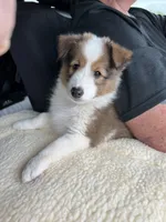 processed/f747d14b-a878-46fe-9ce7-210efab35373/facility/21cb614d-1d5d-4143-bd75-3c984aa8fb49