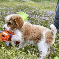 processed/f747d14b-a878-46fe-9ce7-210efab35373/facility/66543965-f1c8-4034-9bd7-877628c4f078