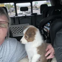 processed/f747d14b-a878-46fe-9ce7-210efab35373/facility/a380b16c-fb82-407c-9c22-21ae7c7ff761