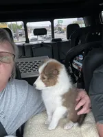 processed/f747d14b-a878-46fe-9ce7-210efab35373/facility/a380b16c-fb82-407c-9c22-21ae7c7ff761