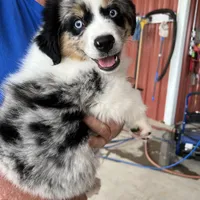 processed/f747d14b-a878-46fe-9ce7-210efab35373/facility/d7f75965-bd7c-49cf-96e8-4a32e2fdcdca