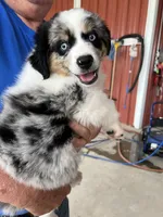 processed/f747d14b-a878-46fe-9ce7-210efab35373/facility/d7f75965-bd7c-49cf-96e8-4a32e2fdcdca