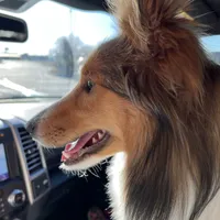 processed/f747d14b-a878-46fe-9ce7-210efab35373/facility/e6f8c18e-9be1-4be4-bfca-d7db0a839911