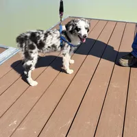 processed/f747d14b-a878-46fe-9ce7-210efab35373/facility/edd17276-bff7-422d-aabd-7a97a430c0a3