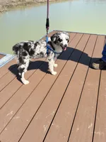 processed/f747d14b-a878-46fe-9ce7-210efab35373/facility/edd17276-bff7-422d-aabd-7a97a430c0a3