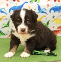 processed/f747d14b-a878-46fe-9ce7-210efab35373/listing/1ee0ae3c-c290-400f-b393-d76073b25287/5272b1a4-0fb5-40b3-aea9-ea1ab68fbdb2