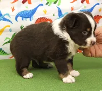 processed/f747d14b-a878-46fe-9ce7-210efab35373/listing/1ee0ae3c-c290-400f-b393-d76073b25287/634cebae-4c67-4b67-8541-81a12da7e840