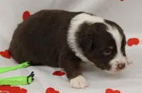 processed/f747d14b-a878-46fe-9ce7-210efab35373/listing/1ee0ae3c-c290-400f-b393-d76073b25287/7de0d158-e9a8-4237-a36e-7a24d5d21cc1