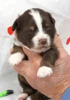 processed/f747d14b-a878-46fe-9ce7-210efab35373/listing/1ee0ae3c-c290-400f-b393-d76073b25287/d903e232-4e47-4ab2-89b0-0766162969c5