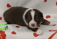 processed/f747d14b-a878-46fe-9ce7-210efab35373/listing/1ee0ae3c-c290-400f-b393-d76073b25287/e940f938-8538-4662-8c77-3a3ca0f7fef6